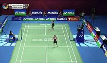 我学会了打羽毛球_350字