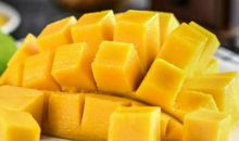 家乡的芒果_350字