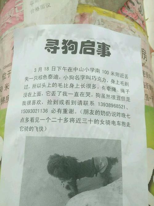 事实上，我知道你比金钱更重要;比名望和谎言更受欢迎;比身份更成熟;无数的人经历;比他们理解不舒服;超过他们太多了。诚信，我理解，友谊是你的连续一代，因为友谊的基础是诚信，对他来说是你的，因为这，我要谢谢你，因为我诚信让我让我带着许多好朋友让我成为我的好朋友。