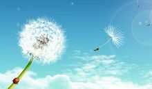 [PK赛]关于感悟的作文：青春舞台_800字