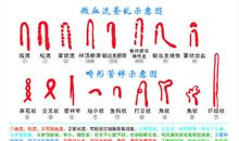 生命的养料_900字