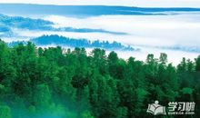 春天的美景_300字