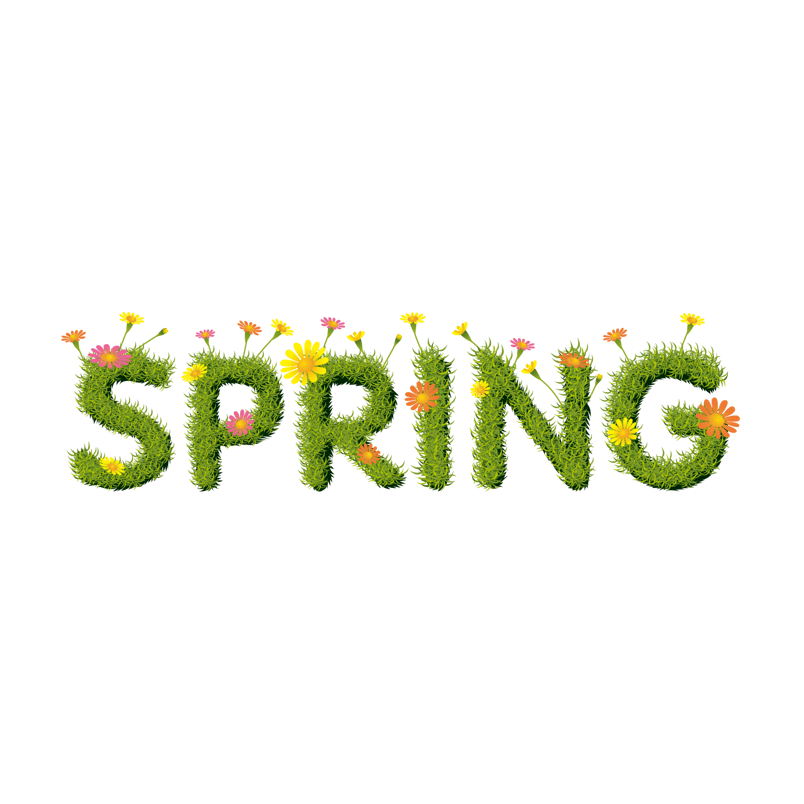 写一封信给Spring _700字