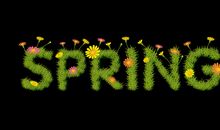 给春天写封信_700字