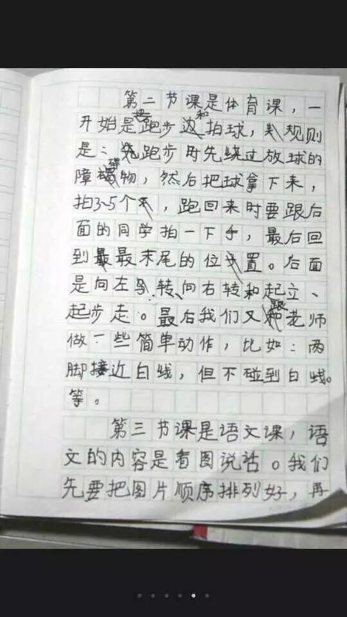 Apple日记_800字