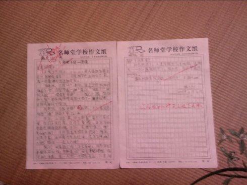 写给蚊子_350字的一封信