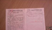 写给蚊子的一封信_350字