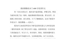 我的暑假实习报告 [推荐]