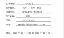 实习报告—电子类