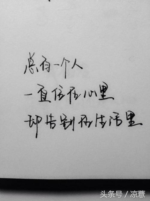我是一个追逐明星_500字