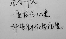 我是一个追星族_500字