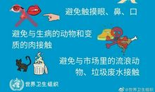关于新型冠状病毒肺炎作文：病毒风波_450字