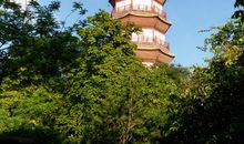 美丽的广州我的家_600字