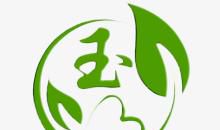 绿色的叶子_900字