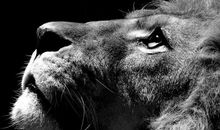 淡淡的，挺好么_350字