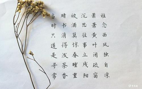 谁单独读西风？ _350字