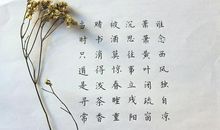 谁念西风独自凉_350字