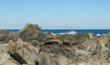 一个岩石的蝴蝶梦_350字