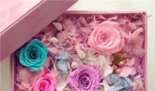 粉蓝色的梦_800字