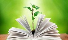 岁月遗落的芬芳_400字