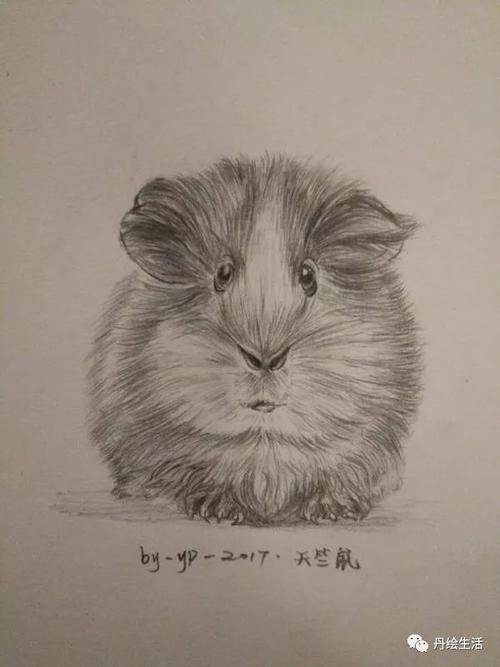 母校_600字