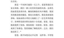 我想对你说，爸爸_200字