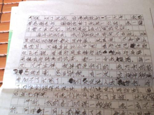 McGeese网络_600字