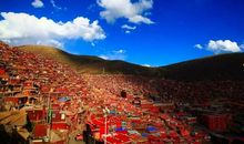 寻找心中那片净土_800字