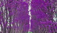 等待我的春暖花开_2000字