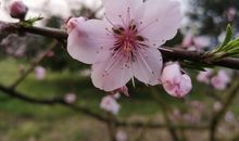 爷爷向我作检讨_650字