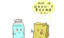 一个瓶子的漂流记_1200字