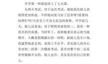 儿子今天上初中_1200字