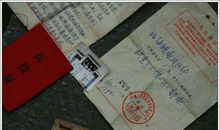 给伊拉克孩子的一封信_3000字