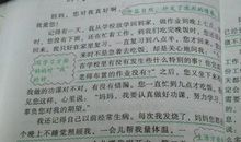 姨妈，我想对您说_600字