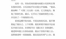 生命的简单_500字