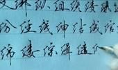 我和我的钢笔_700字