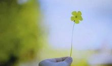 涤荡怀疑的尘埃_400字