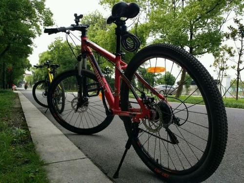 我和自行车_250字