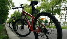 我和自行车_250字