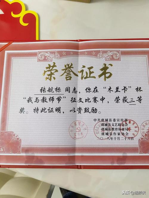 “创意明星”荣誉称号