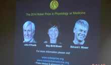 台湾3名科学家的获奖感言