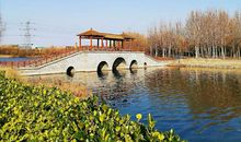 洙水河游记_550字