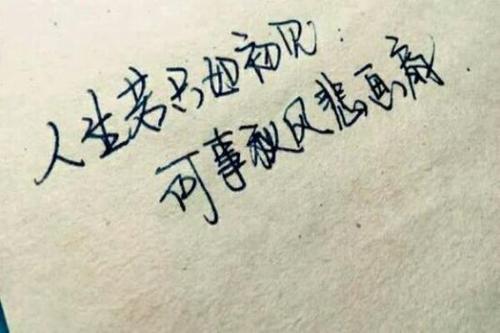 老师赵迈宇_600字