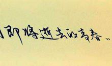 新“伙伴”记_600字