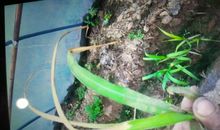 西部，你好_750字