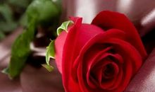 选择自己生命的颜色_800字