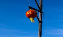 给西部建设者的一封信_700字