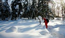 盼望冬天_1200字