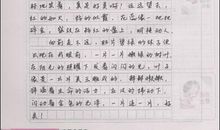 写给春姑娘的信_350字