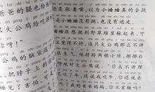 我和小狗_900字